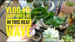 VLOG #2: SHOP WITH ME IN THIS HEAT WAVE | plants \u0026 planters in 5 stores