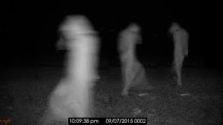 5 Disturbing s Caught by Campers in the Woods
