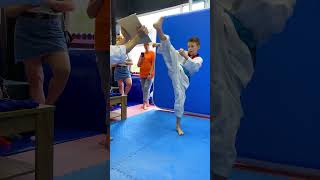 Taekwondo Kicks/Children