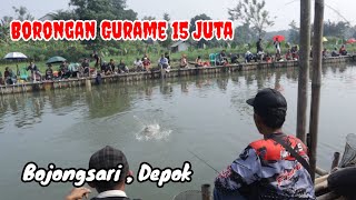 MANCING BORONGAN GURAME 15 JUTA ‼️ BOJONGSARI , DEPOK