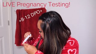 LIVE Pregnancy Testing 8-12 DPO