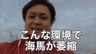 【認知症】こんなストレスでも海馬はダメージ受けます【改善】