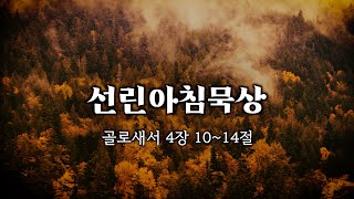 【아침묵상】 골로새서 4장 10~14절