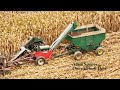 8 horse team picking ear corn on old order amish farm in lancaster county pennsylvania s amish land