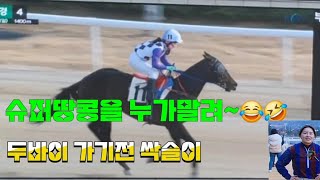 [경마]두바이 가기전 싹쓸이 하고 갈꺼야!(슈퍼땅콩 김혜선 3전1착2/2착1)