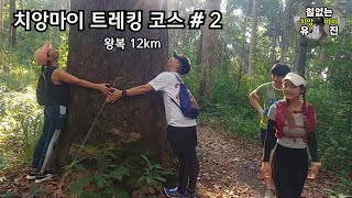 태국 치앙마이 도이수텝 등산 소개 2,  쿤 창 키안 (Khun Chang Khian) 코스, 왕복 12km,  한달 살기