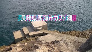 【釣り場紹介】長崎県西海市カブト瀬～2021.6.25