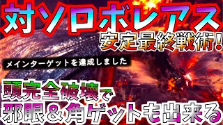 【MHWI】勝てない人必見!!ミラボレアスをソロ10分台安定で討伐する最終戦術が中々優秀。頭も完全破壊で邪眼も100％で狙える。対策装備紹介＆実践!!色々解説も有【モンハンワールドアイスボーン】