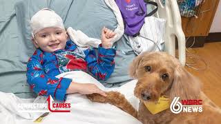 Paws with a purpose: Hand in Paw brings therapy animals to Central Alabama