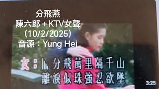 分飛燕  陳六郎＋KTV 女聲（10/2/2025）,謝Yung Hei提供音源