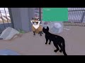 little kitty big city gameplay walkthrough full game no commentary