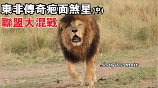 (中)獅王疤面煞星(scarface)去世兩週年紀念版, 擊殺卡奇瓦聯盟老大, 與諾遲聯盟/4公里聯盟/黑岩男孩大混戰