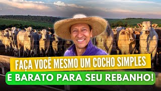 Engorda Eficiente: Faça Você Mesmo um Cocho Simples e Barato para Seu Rebanho!!!