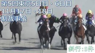 2018年11月17日・18日東京競馬制裁事象