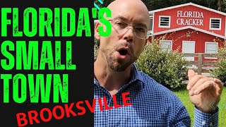 Why Brooksville Florida? One of the best places to live in the state and here's why❤️