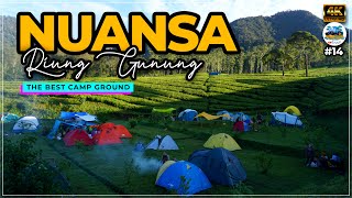 NUANSA RIUNG GUNUNG PANGALENGAN 2022 | Tempat Camping di Bandung di Tengah Kebun Teh #인도네시아캠핑