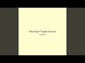 Moonlight Fragile Serene