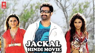 Jackal Hindi Full Movie | Hindi Movie 2022 | Jr NTR South Indian Movie 2022
