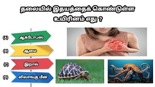 தலையில் இதயத்தைக் கொண்டுள்ள உயிரினம் | general knowledge