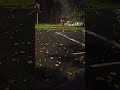 Rainy UK England's Potholes A Young Male Wearing Red Riding A SCOOTER. A DOUBLE DECKER CARS VANS