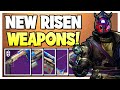 NEW Cabal-Themed Seasonal Weapons GOD ROLL GUIDE! (RANKED Best to Worst) | Destiny 2 Weapon Guide