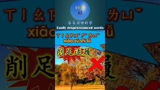 9016 削足适履怎么读注音拼音削 xiao xue多音字容易读错的字mispronounced word #shorts #hsk