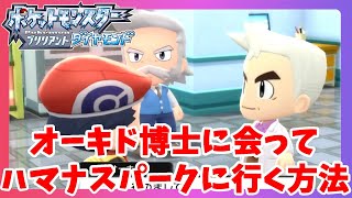 【ポケモンBDSP】伝説のポケモンレジロックゲット！ハマナスパーク解放条件と石板の入手方法【ポケモンブリリアントダイヤモンド】