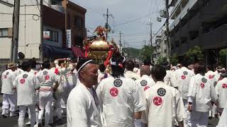 2019 八大神社 下一乗寺神輿