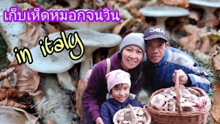 ep.39 Agarico nebbioso 2020 เห็ดหมอก วิถีอีสาน thomaskhuns in italy 9/11/20