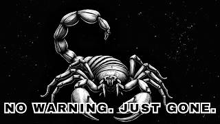 Why Scorpios Disappear Without Warning
