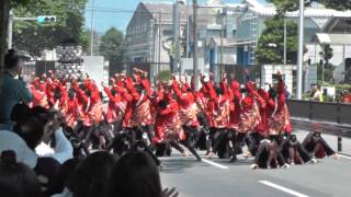 笑゛／豊川おいでん祭(ケヤキ１回目)160521