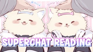 【SUPERCHAT READING】superchat reading super finale 💕🐾