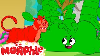 Orphles Angry Neighbour Mischief! | Mila and Morphle Cartoons | Morphle vs Orphle - Kids Videos