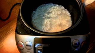 Cooking Rice in a Zojirushi NS-TSQ10 Rice Cooker (UK Candy)