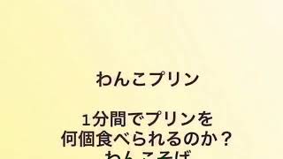 早食い企画【わんこプリン】