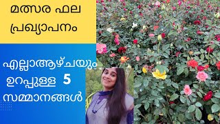 സമ്മാനാർഹർ / എല്ലാ  ആഴ്ചയും ഉറപ്പുള്ള  5 സമ്മാനങ്ങൾ /gardening malayalam