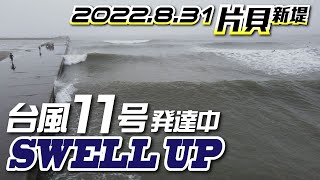 片貝新堤サーフィン【ドローン空撮】台風11号2022年8月31日