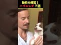 xで6.2億回バズった動物ハプニング動画7選！7animal happenings videos that got 620 million buzz on x 犬 猫 動物 ペット shorts