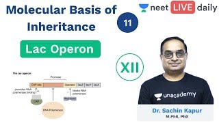 Molecular Basis of Inheritance - L 11 | Lac Operon | Unacademy NEET | Biology | Sachin Sir