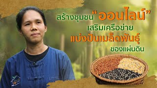 แจกเมล็ดผักฟรี ! ธนาคารเมล็ดพันธุ์ของแผ่นดิน