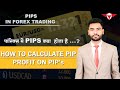 What is PIPs in Forex Trading Explain in Hindi | How to calculate PIP in forex | Profit on PIP