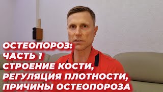 Остеопороз.Часть 1:Строение кости, регуляция плотности, причины остеопороза