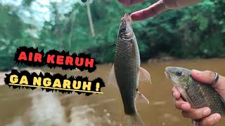 MANCING NILEM DI AIR KERUH ??  GA NGARUH !! IKAN TETEP GACOR MAKAN BERTUBI TUBI