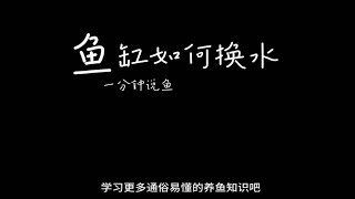 鱼友说，鱼缸2年都不换水？怎么做到的？