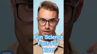 How Your Brain Forms Memories | Fun Science Fact for Kids!