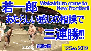 若一郎あたらしい感じの相撲で三連勝!!!高麗の国　九月場所五日目2019　＃大相撲　＃九月場所　＃秋場所　＃sumo　＃若一郎　＃Wakaichiro  #young