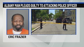 Albany man pleads guilty to attacking police officers