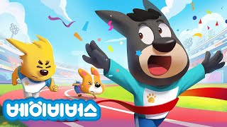 신나는 운동회 + 동화모음 | 집을 지어요 | 안전교육 | 래브라도 경장 | 베이비버스 | BabyBus