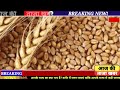 20 दिसंबर गेहूँ का भाव गेहूँ के भाव में तूफानी तेजी देखें भाव gehu ka bhav wheat rate today