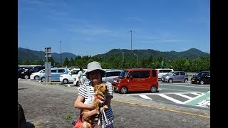 2018年7月7日（土）「道の駅 ようか但馬蔵」（兵庫県養父市）テスト車中泊　「出石そば官兵衛」十割そば　ダイハツウェイクでGO！　ミニチュアダックスのももちゃん